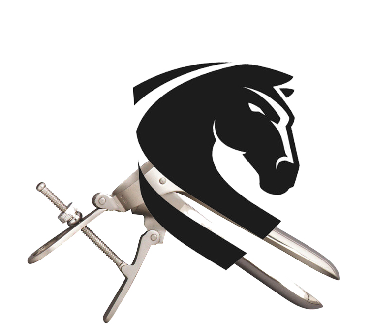 BroncosMerch.PNG