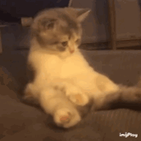 catwood.gif