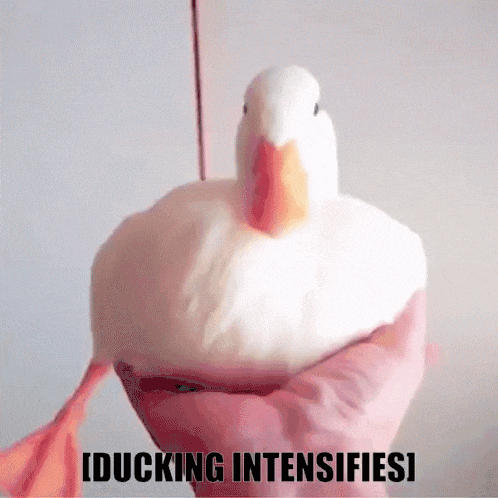 Ducks triggered