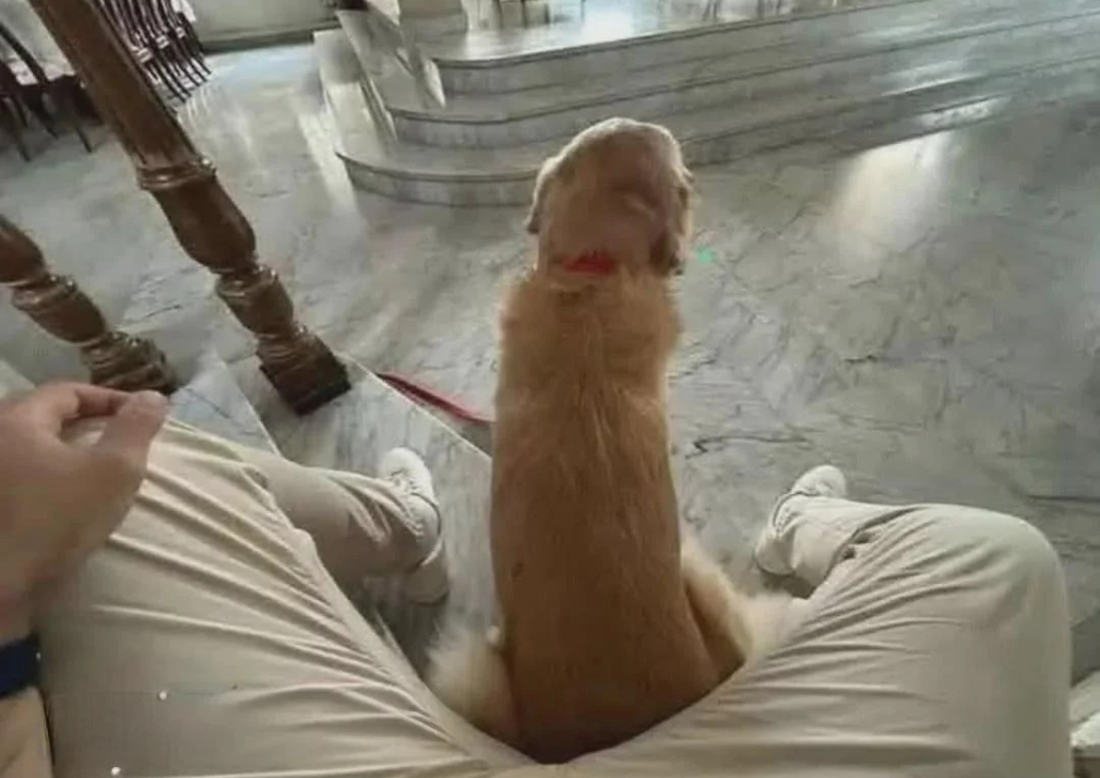 Lab.png