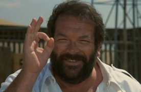 seibold.jpg