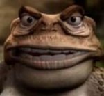 KnToad