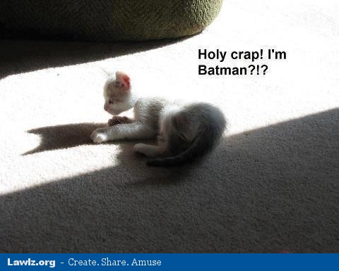 holy-crap-im-batman-cat-kitten-shadow-meme.jpg