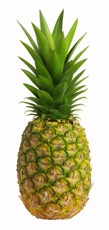 pineapple.jpg